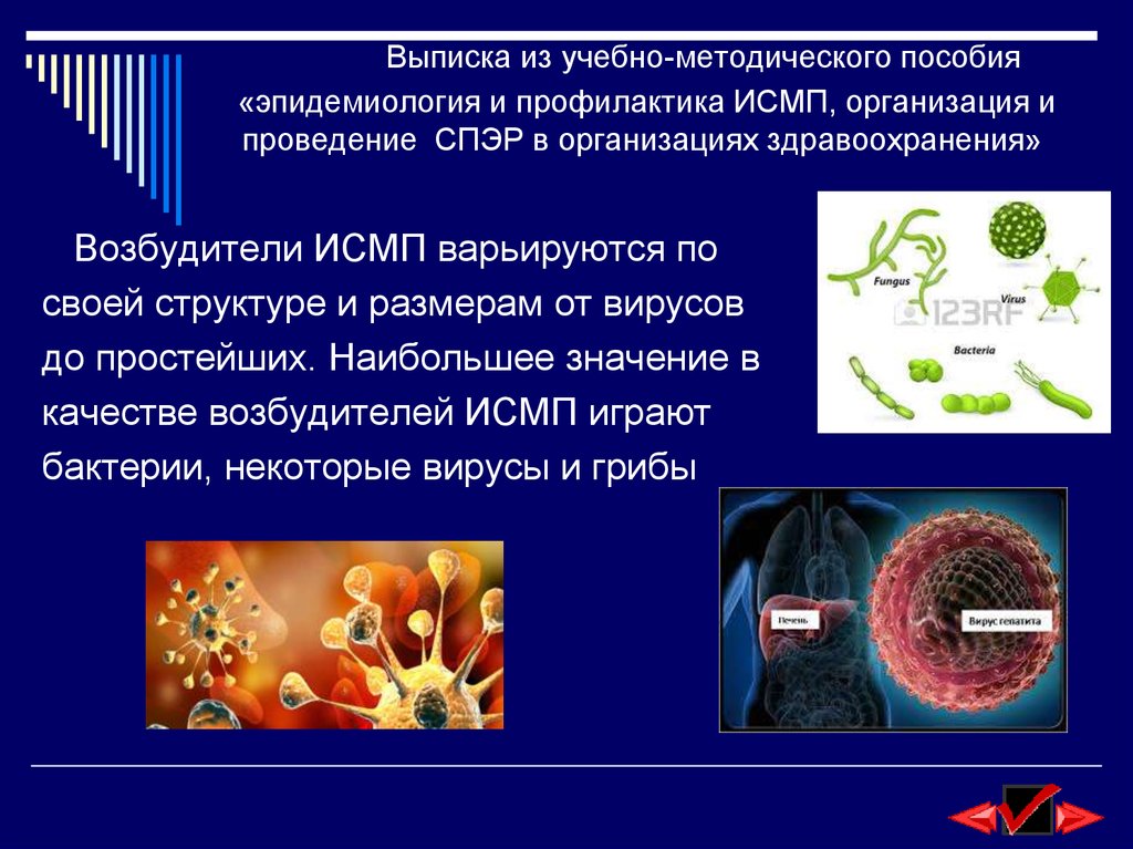 Актион исмп. ИСМП бактерии. Эпидемиология и профилактика ИСМП. Резервуары возбудителей ИСМП. Возбудители ИСМП являются.