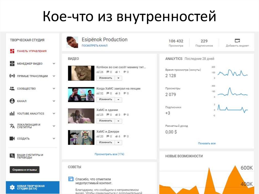 Кое-что из внутренностей