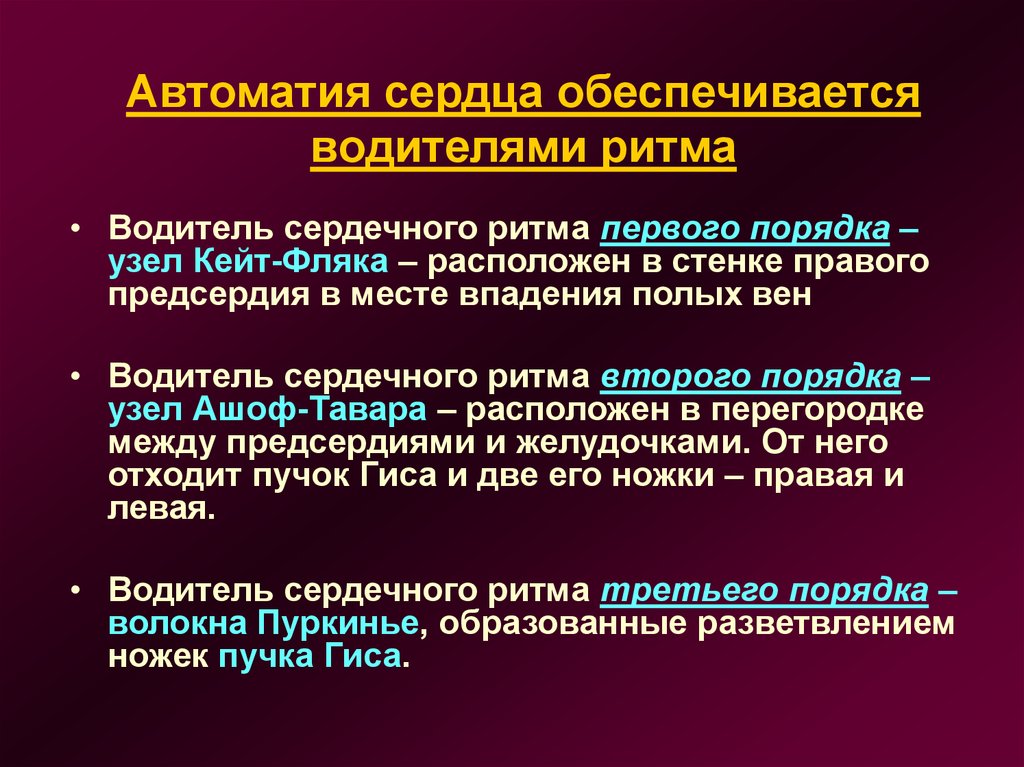 Сердечный порядок. Автоматия сердца физиология. Автоматия это в физиологии. Водители ритма сердца. Автоматизм физиология.