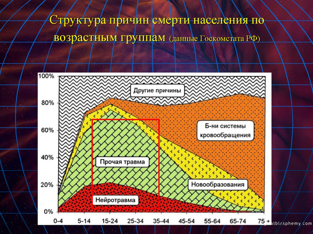 Почему структура. Причины смерти по возрастным группам. Смертность по возрастным группам. Причины смертности в возрастно половых группах.