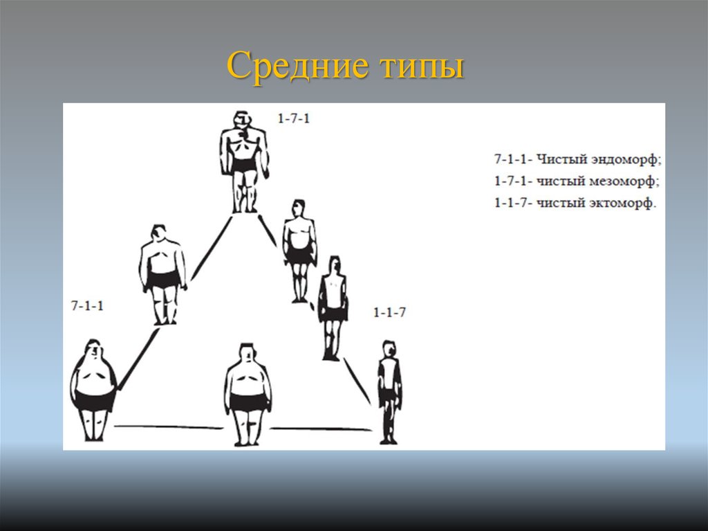 Средний 29. Средний Тип. Визуальная Психосемиотика лица. Визуальная Психосемиотика таблица. Психосемиотика.