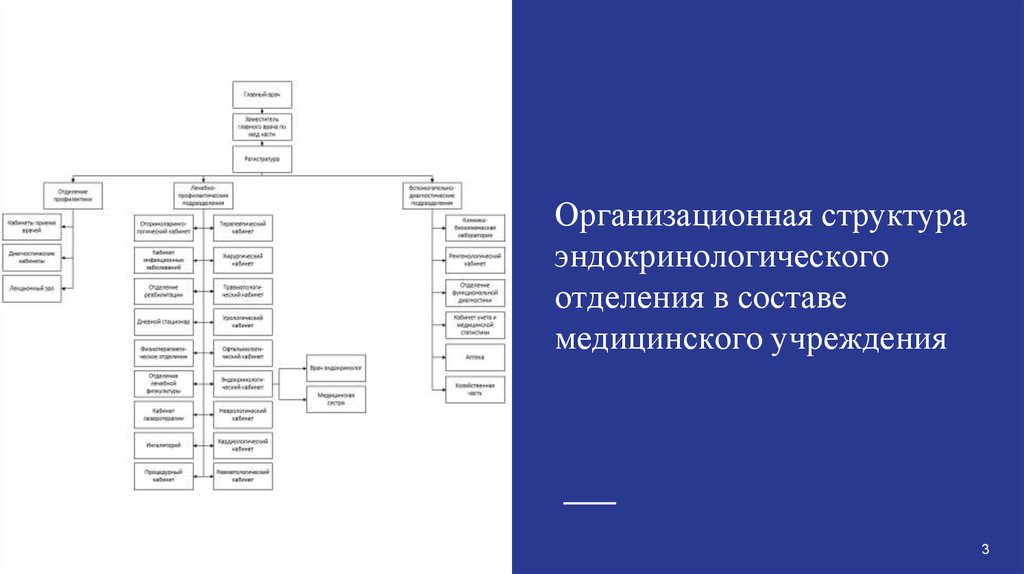 Организационные структуры ис. Структура эндокринологического отделения. Структура эндокринологического отделения стационара. Организационная структура медучреждения. Структура в медицинских учреждениях с филиалами.