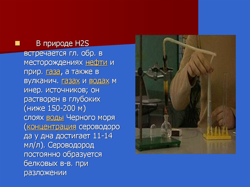 Сероводород растворяется. Получение сероводорода. Получение сероводорода в лаборатории. Получение сероводорода в природе. Интересные факты о сероводороде.