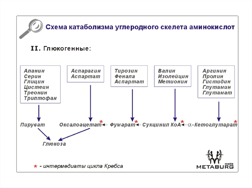 Заполните схему применение углерода