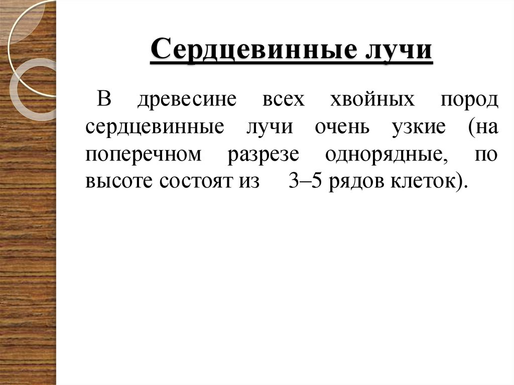 Особенности строения клеток сердцевинных лучей. Сердцевинные лучи у хвойных пород. Сердцевинные лучи функции. Сердцевинные лучи состоят из. Сердцевинные лучи древесины.