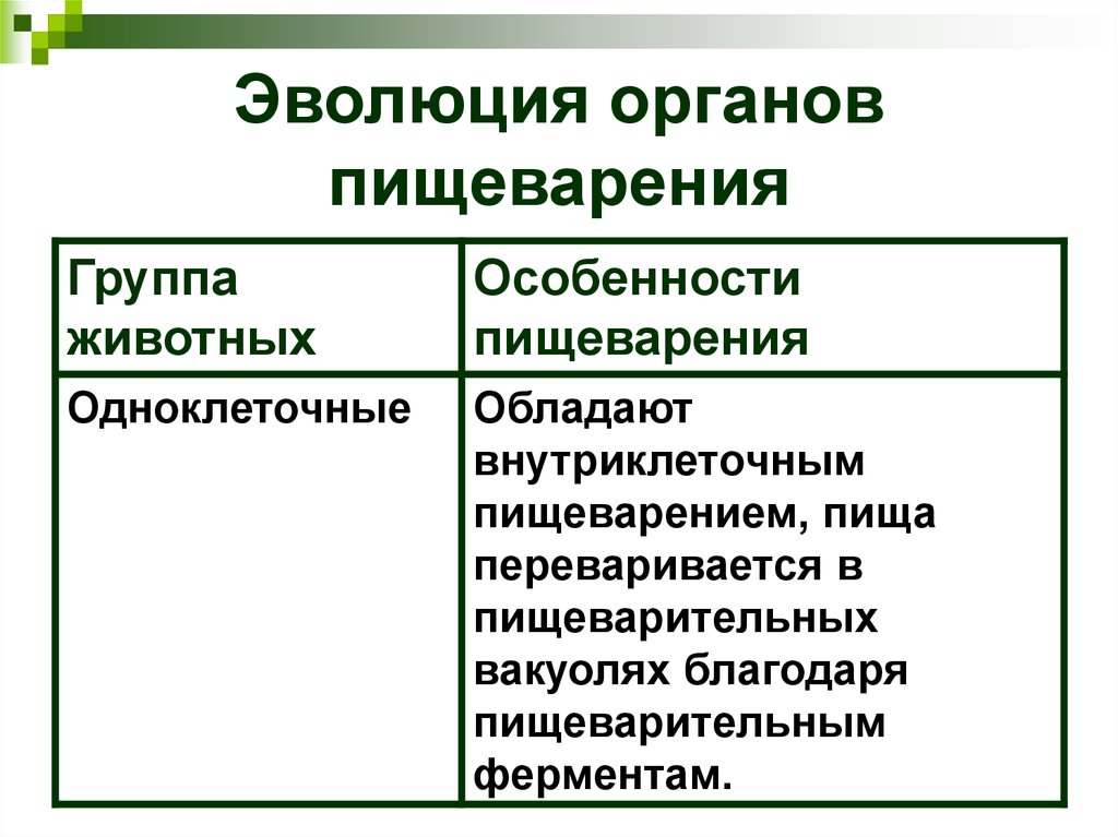 Пищеварительная система обмен веществ ответы