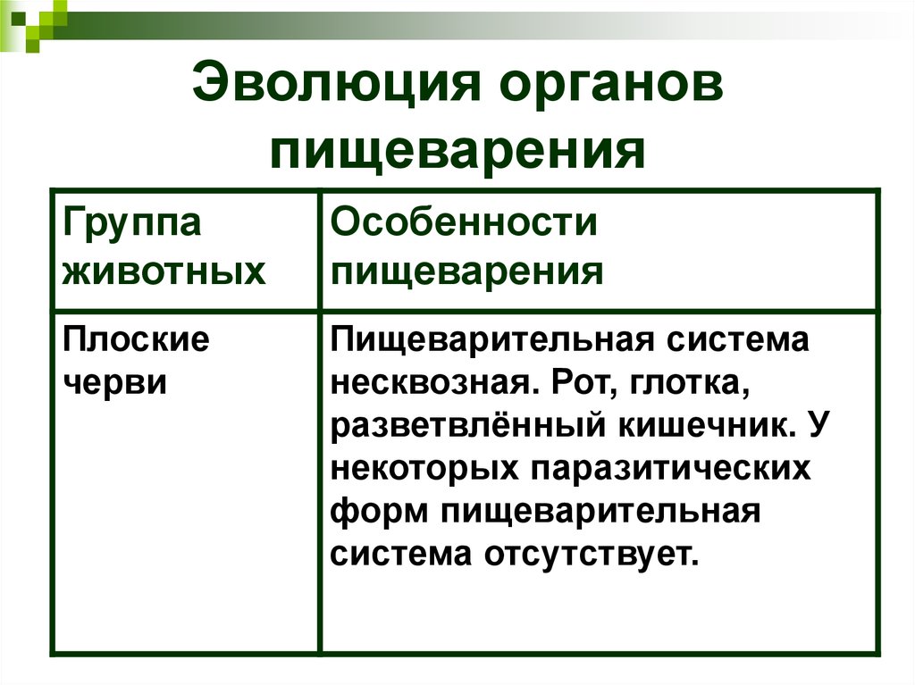 Пищеварительная система обмен веществ ответы