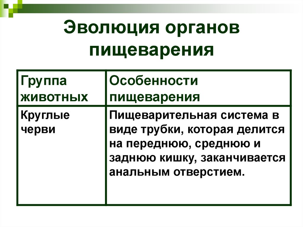 Пищеварительная система обмен веществ ответы