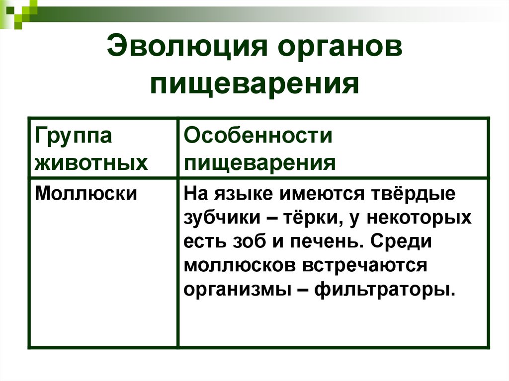 Особенности пищеварения. Эволюция пищеварительной системы животных. Эволюция пищеварения у животных таблица. Эволюционное развитие органов пищеварения таблица. Эволюция органов пищеварения у животных.