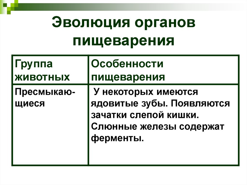 Эволюция пищеварительной системы презентация