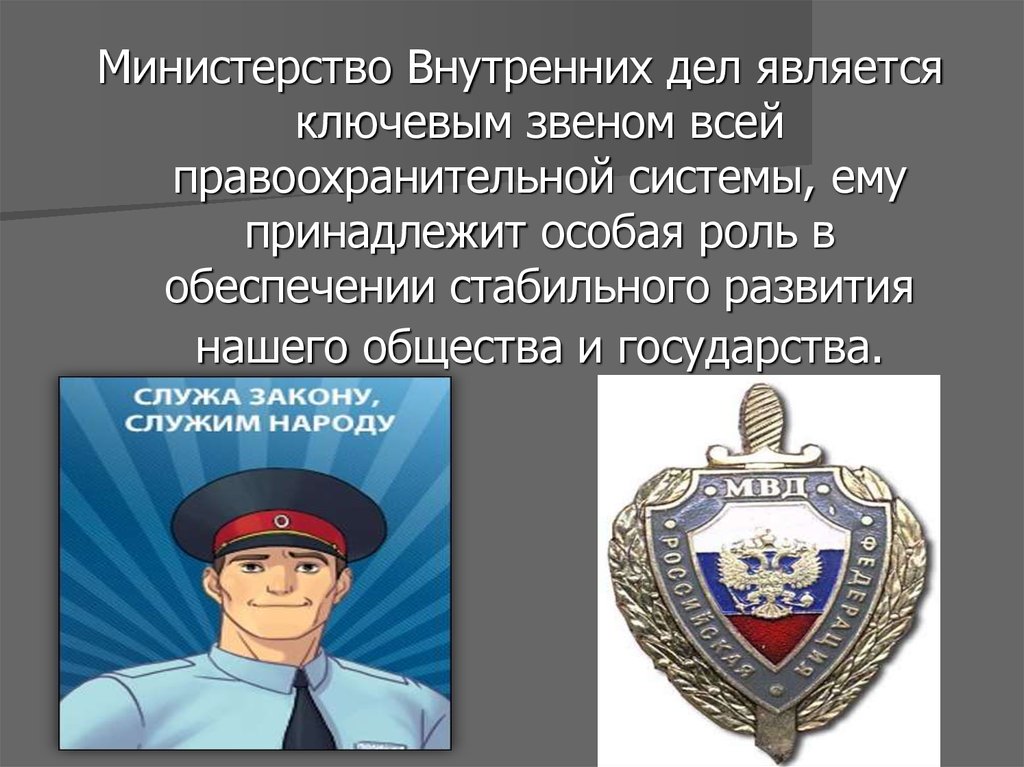 Министерство правоохранительных органов рф