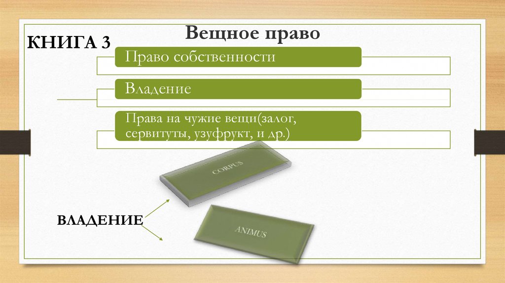 Вещное право. Вещное право по ГГУ 1900. Вещное право институты. Институт вещного права в гражданском праве. Германское гражданское уложение вещное право.