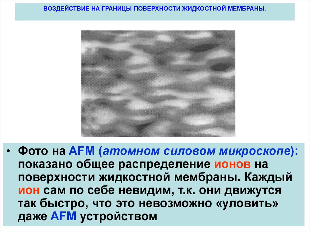 ВОЗДЕЙСТВИЕ НА ГРАНИЦЫ ПОВЕРХНОСТИ ЖИДКОСТНОЙ МЕМБРАНЫ.