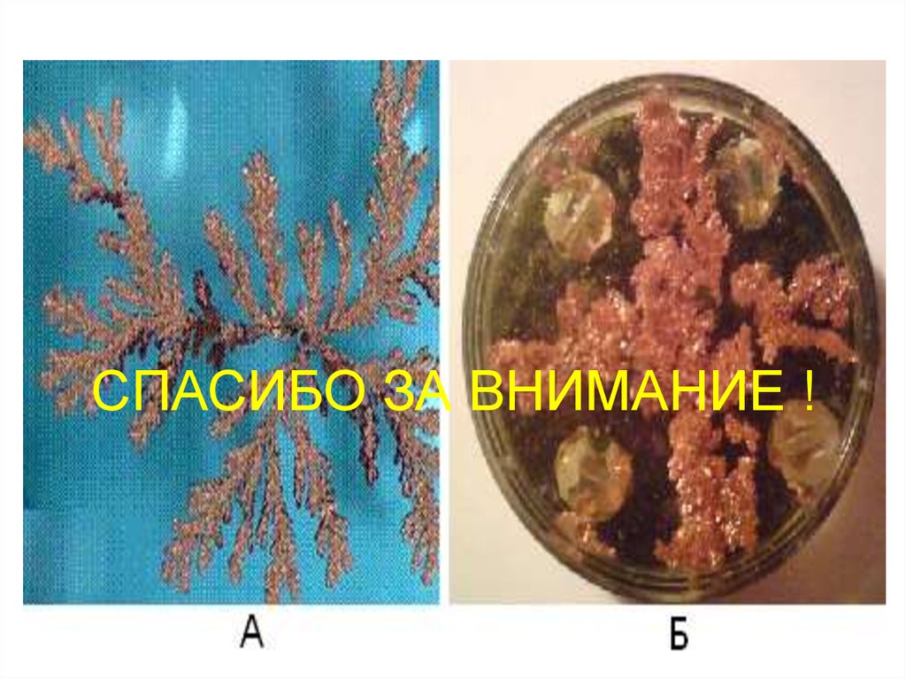 СПАСИБО ЗА ВНИМАНИЕ !