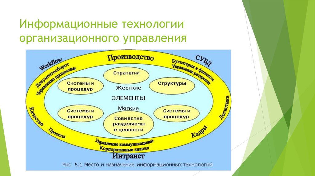 Формы управления организационными системами