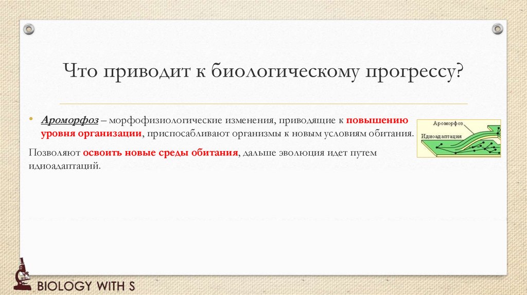 Дегенерации приводят к биологическому прогрессу