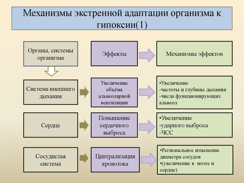 Схему механизмов адаптации