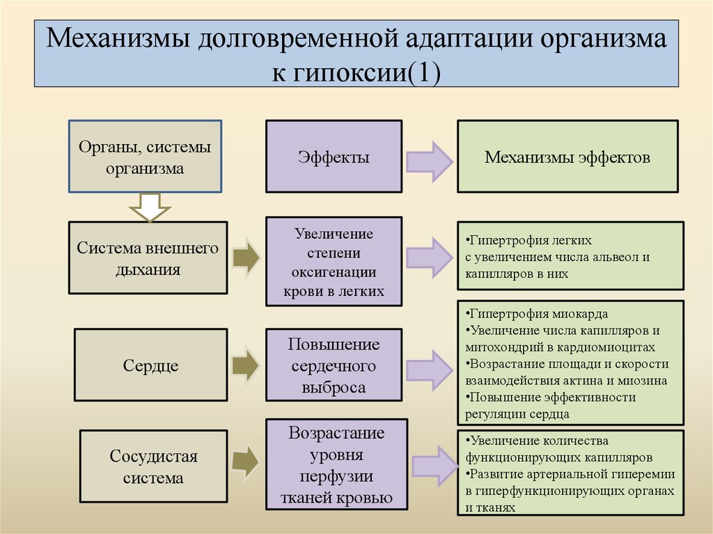 Схема развитие срочных компенсаторно приспособительных реакций при остро развивающейся гипоксии