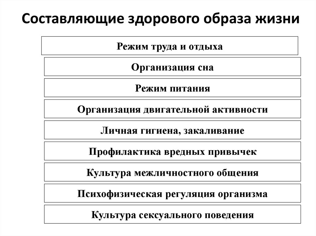 Принципы здорового образа жизни