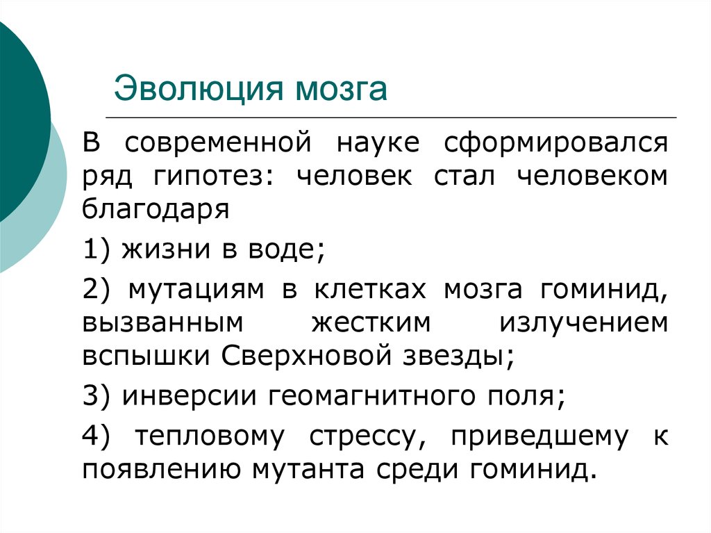 Наука сформировалась. Теория эволюции мозг. Гипотеза человек появился в результате теплового стресса.