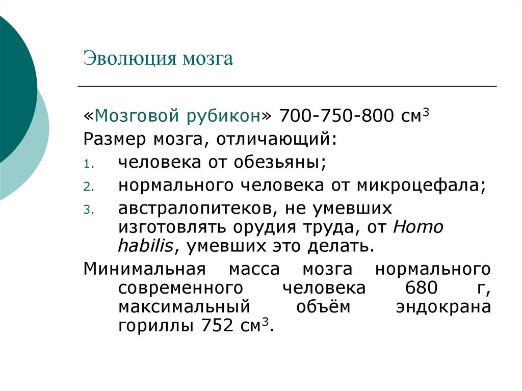 Объем мозга 700 1250. Объем мозга Эволюция. Эволюция мозга.