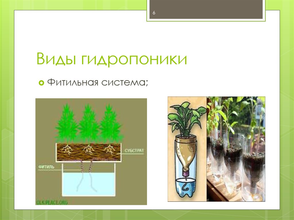 Проекты по гидропонике