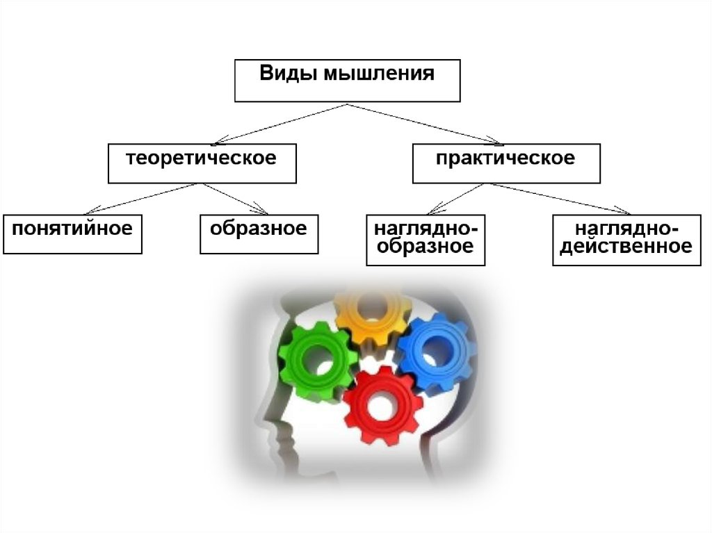 Процессы в биологии