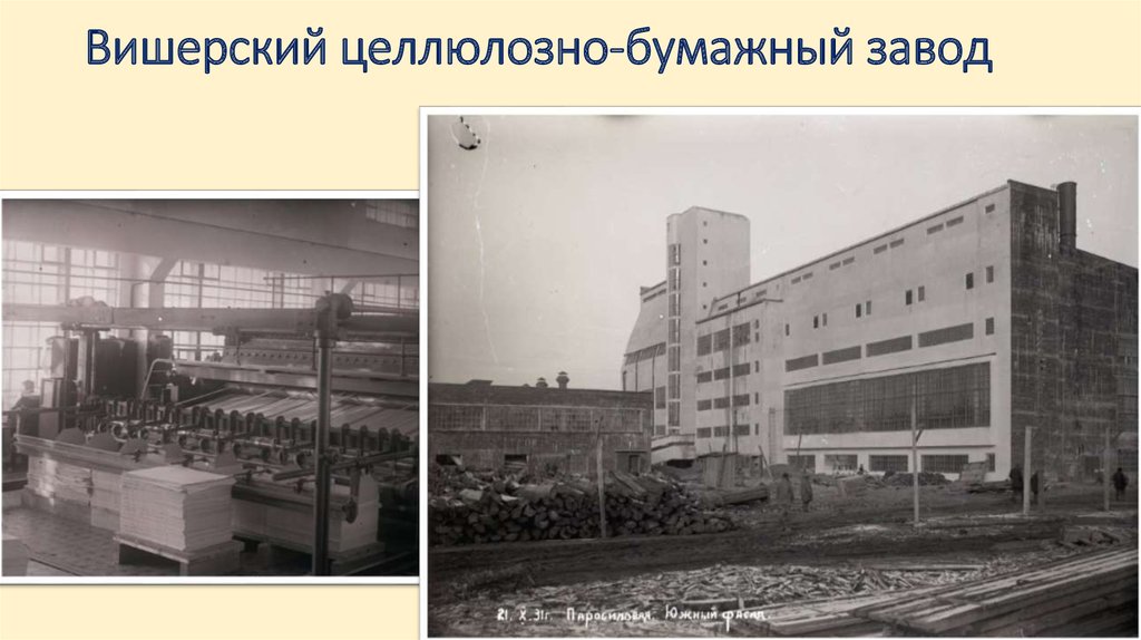 Вишерский целлюлозно-бумажный завод