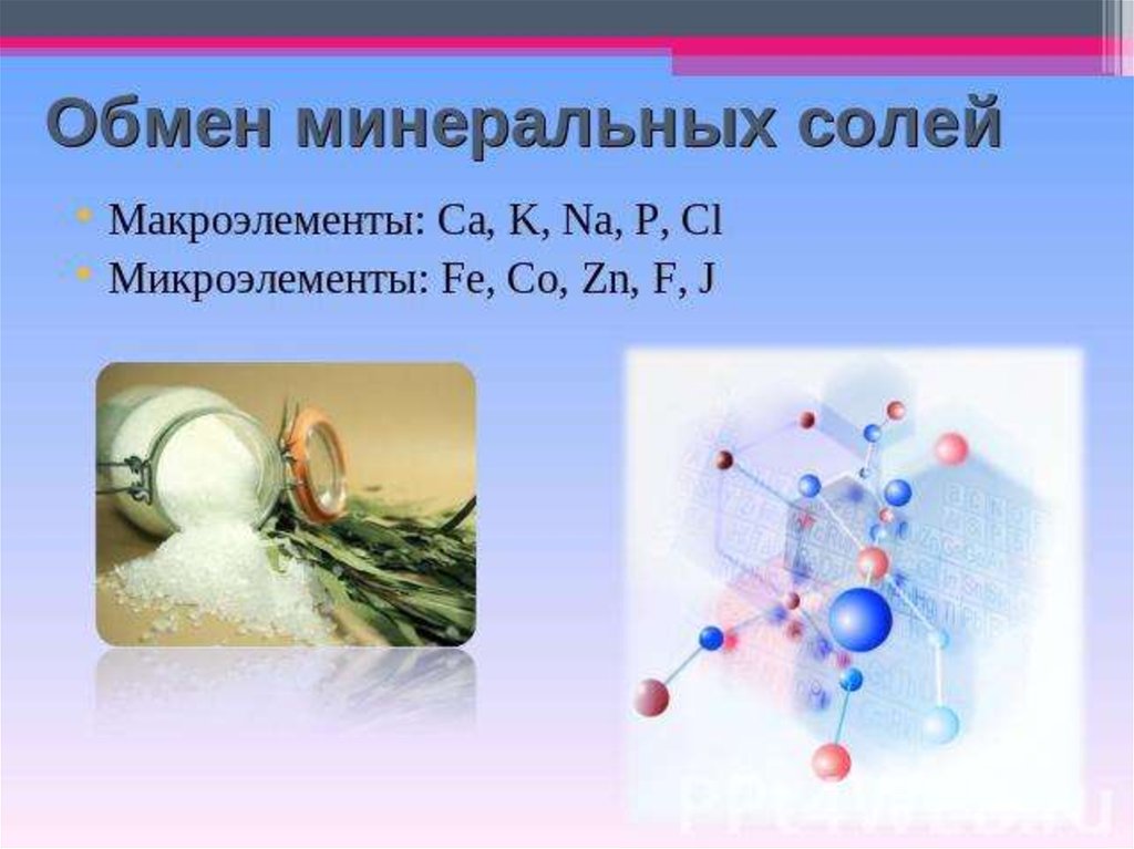 Соли и обмен веществ. Обмен Минеральных солей. Обмен Минеральных солей в организме человека. Обмен Минеральных солей в организме схема. Макроэлементы Минеральные соли.