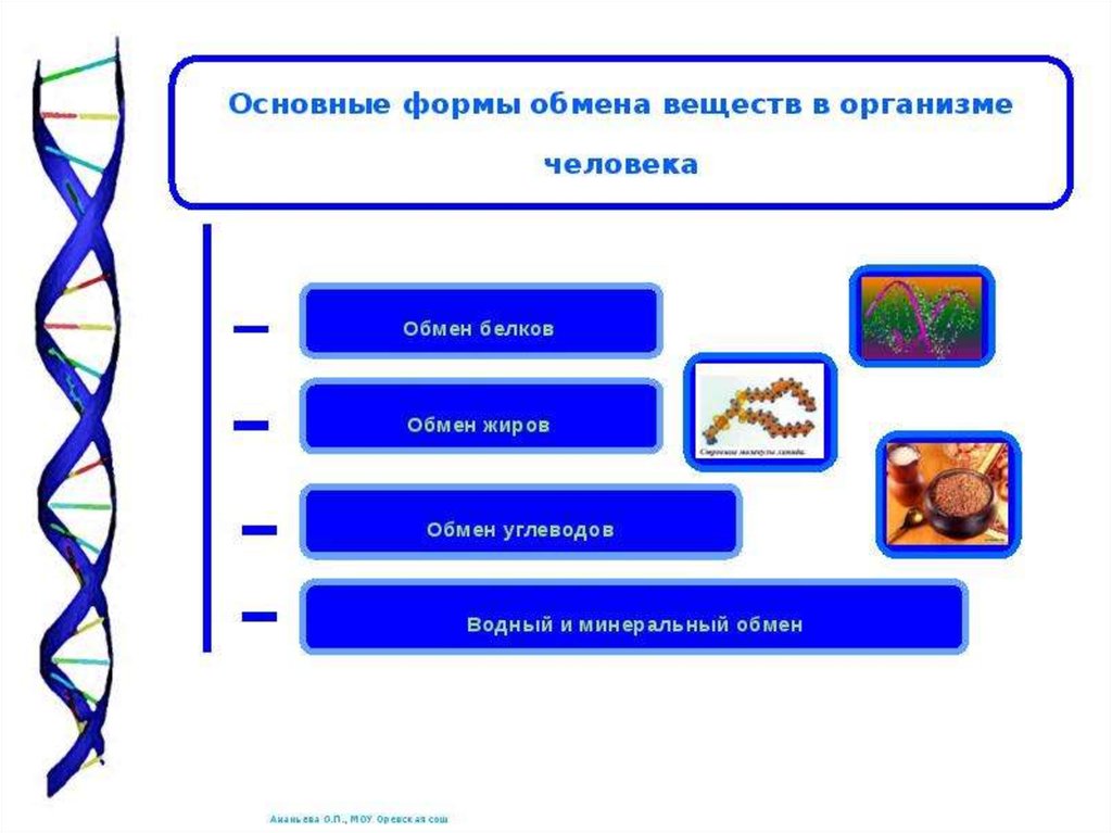 Формы обмена