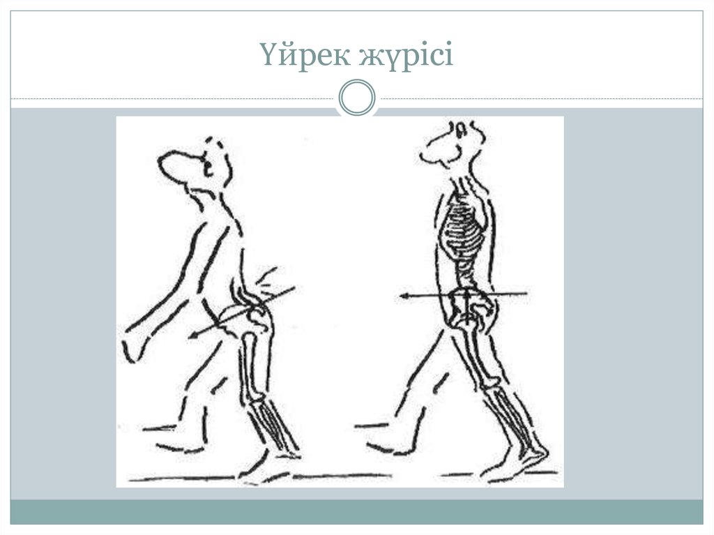 Үйрек жүрісі