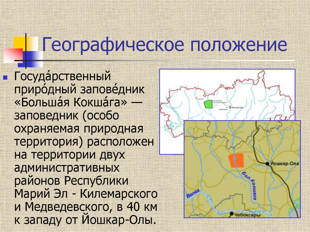 Заповедник большая кокшага презентация