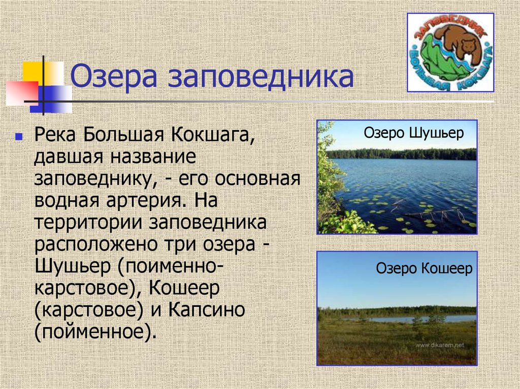 Выберите озеро. Заповедник большая Кокшага на карте. Заповедник большая Кокшага Республики Марий Эл животные. Озеро заповедника большая Кокшага. Заповедник большая Кокшага Республики Марий Эл на карте.