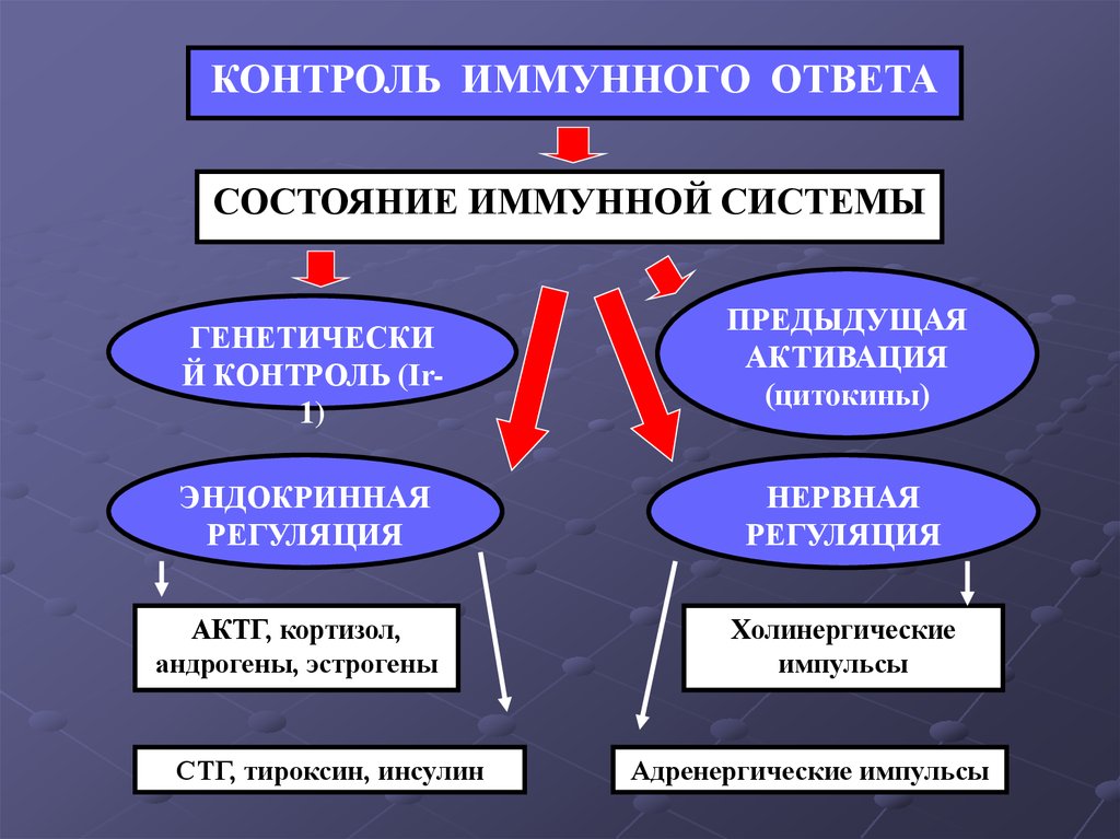 Регуляция и контроль. Механизмы контроля и регуляции иммунных реакций. Контроль иммунного ответа. Генетический контроль иммунного ответа. Контроль и регуляция иммунного ответа.