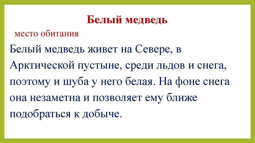 Белый медведь