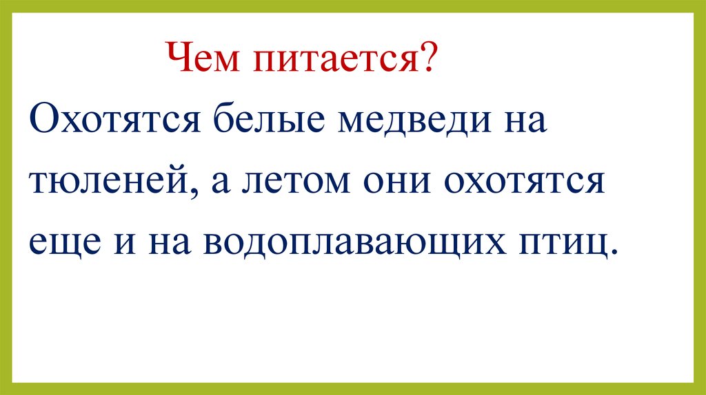 Чем питается?