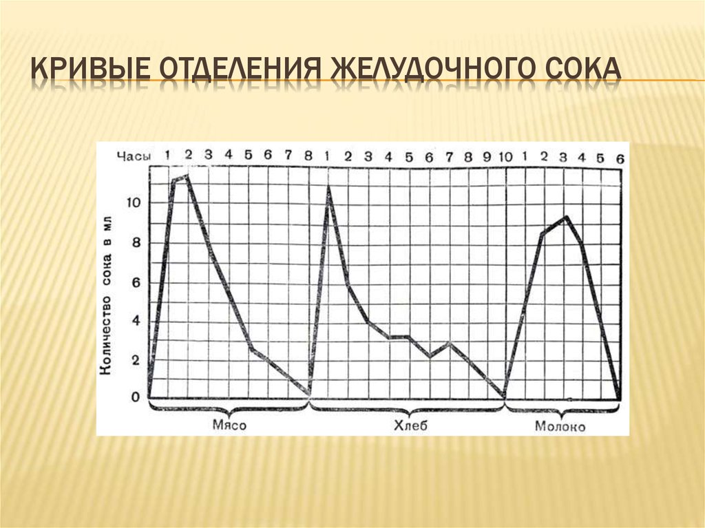 4 нарисуйте кривые желудочной секреции при употреблении основных продуктов мяса хлеба и молока