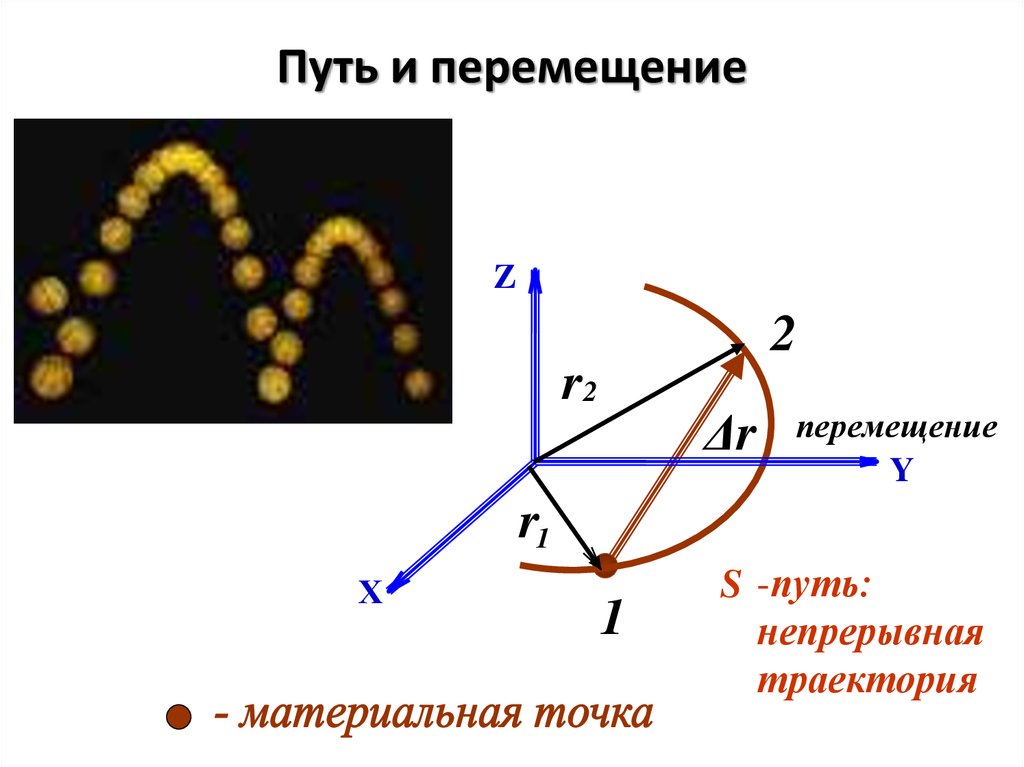 Виды движения камеры