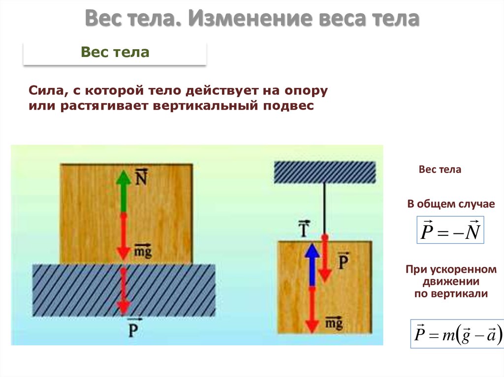 Механическое движение масса тела