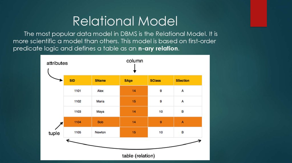 DBMS data models. The relational data model. Technology development of