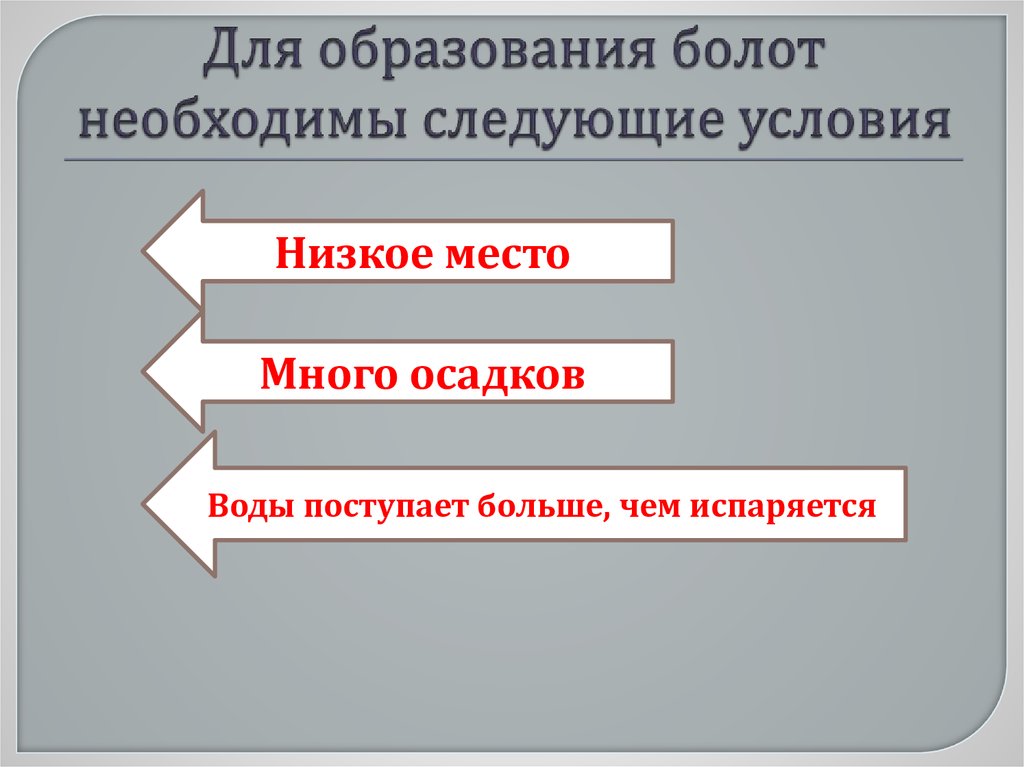 Основные причины болот. Условия образования болот. Какие условия необходимы для образования болот?. Условия формирования болот. Перечислите условия образования болот.