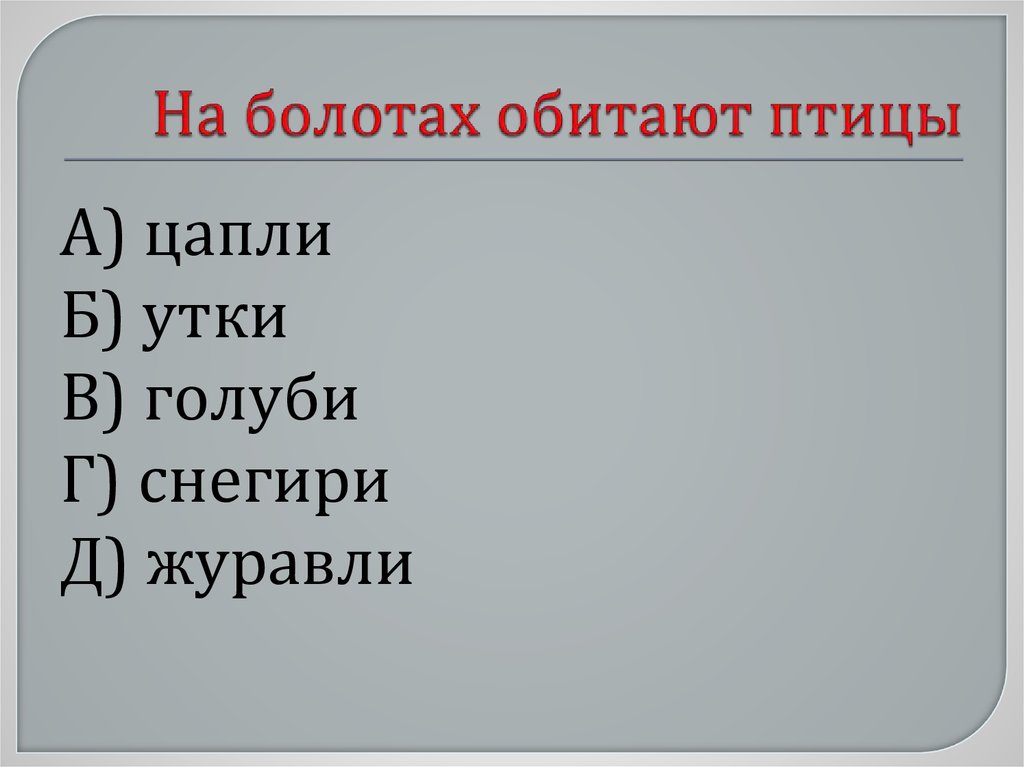 На болотах обитают птицы