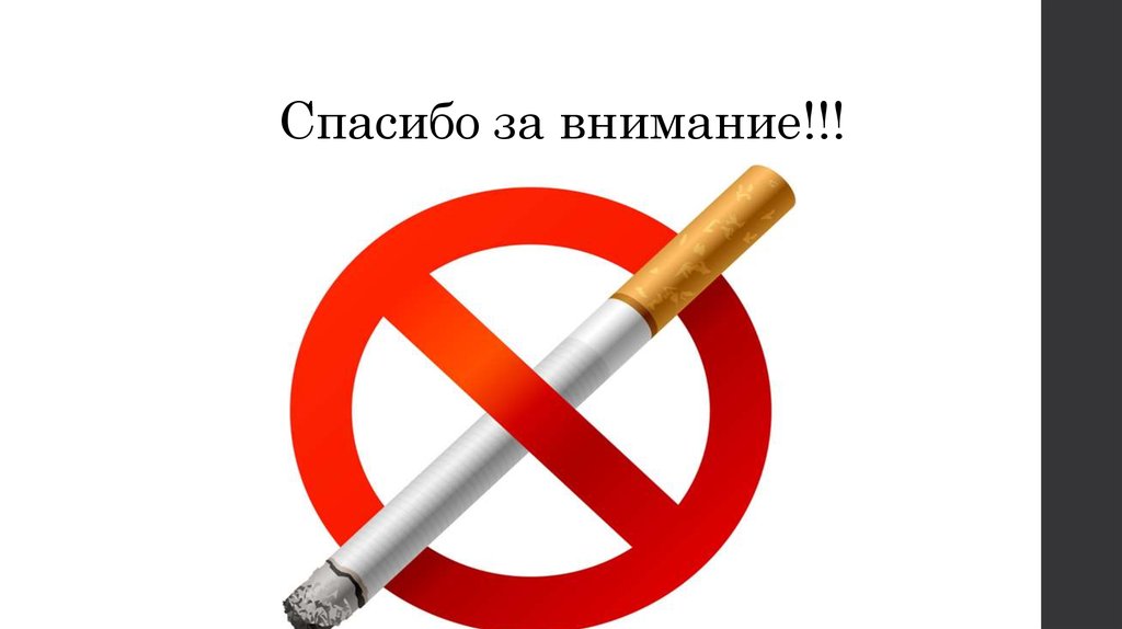 Спасибо за внимание!!!