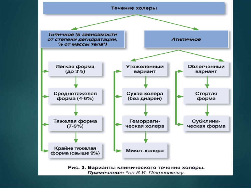 Холера схема оповещения