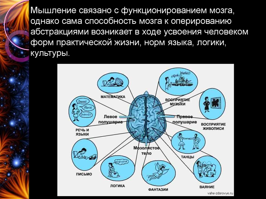 Физиология мышления презентация