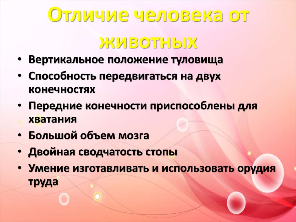 Отличие человека