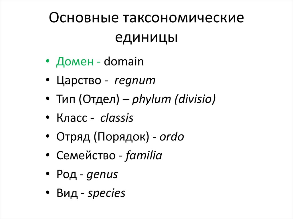 Крупные таксономические группы
