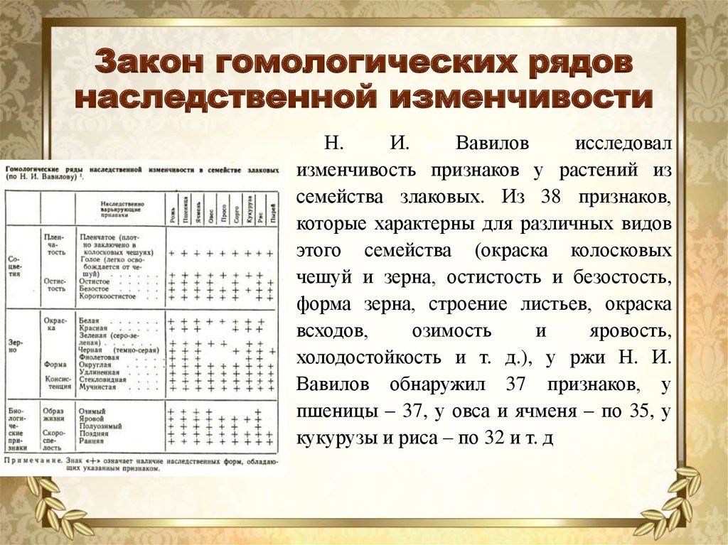 Презентация закон гомологических рядов наследственной изменчивости 10 класс