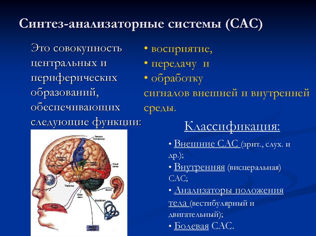 Функции анализаторов презентация