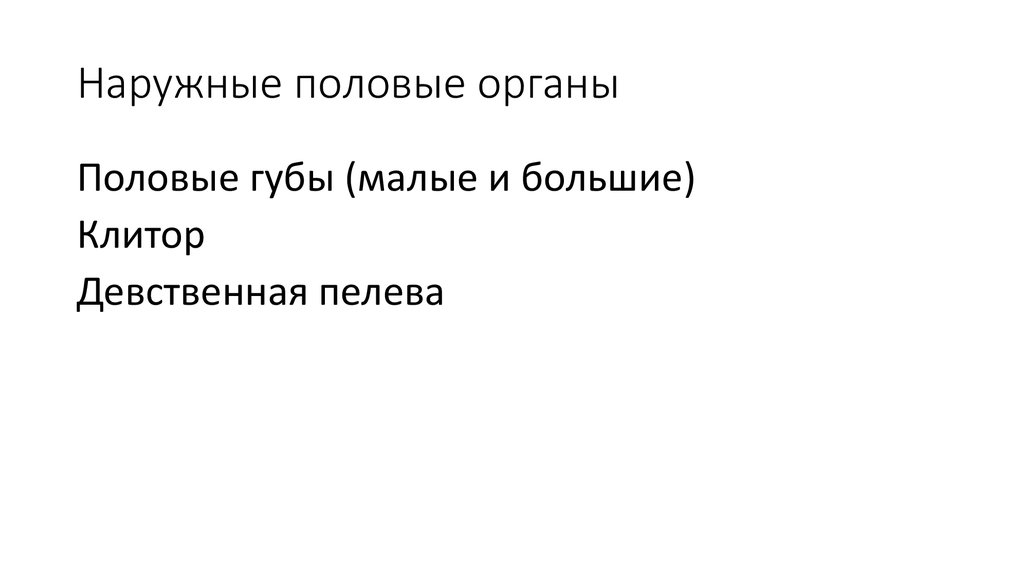 Наружные половые органы